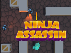 Game Ninja Assassin