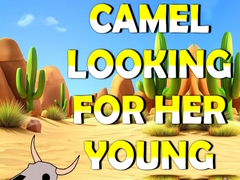 Game Camel Looking For Her Young