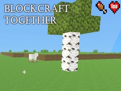 Game BlockCraft Together