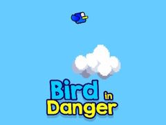 Game Bird in Danger