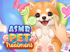 Game ASMR Pet Treatment