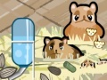 Game Hamster Nest
