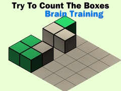 Game Try To Count The Boxes Brain Training