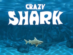 Game Crazy Shark