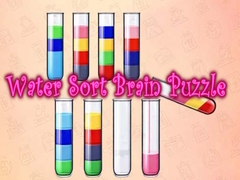 Game Water Sort Brain Puzzle