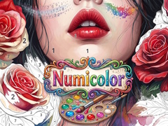 Game Numicolor