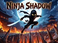Game Ninja Shadow