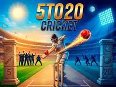 Game 5TO20 Cricket