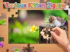 Game Curious Kitten Jigsaw