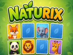 ເກມ Naturix
