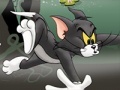 Game Tom And Jerry Chase In Marsh