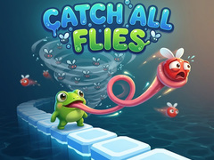 Game Catch All Flies