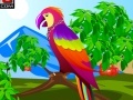 Game Decor the Cute Parrot