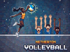 Game Netherton Volleyball