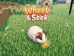 Game Wheek & Seek