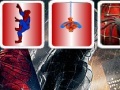 Game Spiderman Memory 