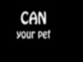 Game Can Your Pet