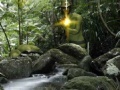 Game Rambo: The Fight Continues