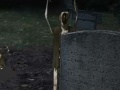 Game Even Dead Men Die