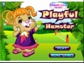 Game Playful Hamster