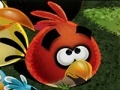 Game Angry Birds Save