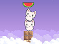 Game Cat cat watermelon
