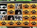 Game Matching Puppies