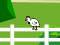 Game Chicken Impossible