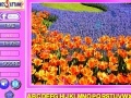 Game Beauty Flowers Find the Alphabets