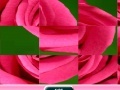 Game Rose Sliding Puzzle