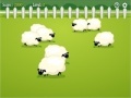 Game Count the Sheep