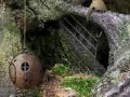 Game Forest dwellers ball