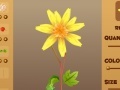 Game Magic Flower
