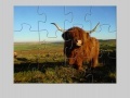 Game Highland Cow Jigsaw