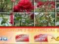 Game Puzzle Craze - Rose Garden
