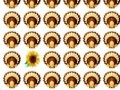 Game Thanksgiving Day Matching Game