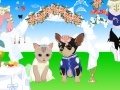 Game Pet Wedding Dress up