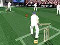 Game Criket Challenge