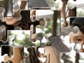 Game Hudgens Jigsaw Puzzle