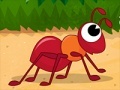 Game Hurry Up Ant