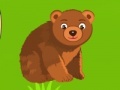 Game Bear adventure