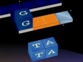 Game WordKnot