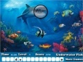 Game Fish Hidden Letters