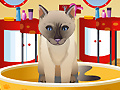 Game Petz Fashion