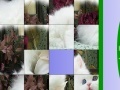 Game Sweet White Cat Slide Puzzle