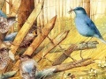 Game Art Painting Bird Puzzles