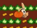 Game Farm Rabbit