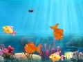 Game Match the fish pairs
