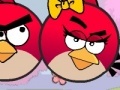 Game Argy Birds seek wife