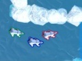 Game Polar Bear Racing